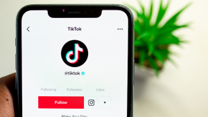 The Changing Landscape of Advertising on TikTok